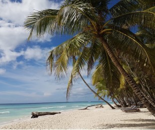 Саона - Классик - Punta Cana, Домінікана