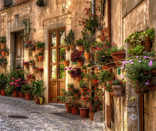 Вальдемосса и настоящая Майорка (в мини-группе) - Mallorca, Іспанія