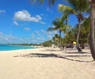 Остров Каталина: яркие краски Карибов - Punta Cana, Домінікана