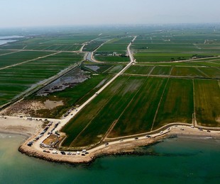 Устричные фермы и дельта реки Эбро - Costa Dorada, Іспанія